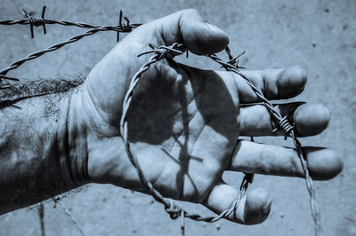 Close-up of hand holding wire fence