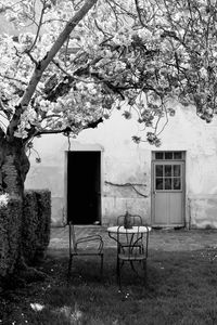 Table outdoors 