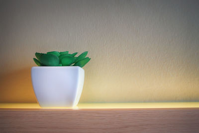 Close-up of potted plant on table against wall