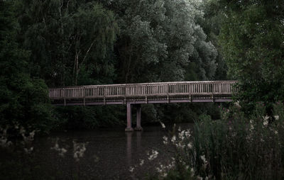 Bridge over trees in forest