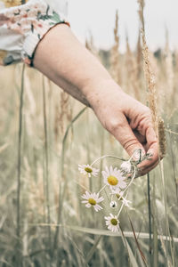 Midsection of person holding flowering plant on field