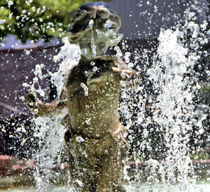 Close-up of water flowing through rocks