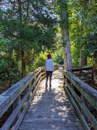 Rear view of person walking on footbridge in forest