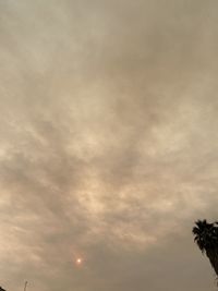 Low angle view of trees against sky during sunset