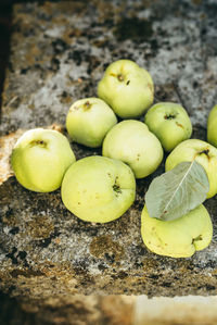 Close-up of apples on rock