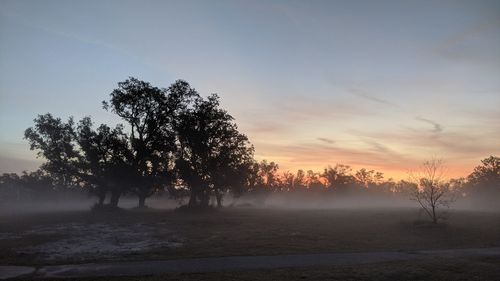 Silhouette trees on field against sky during sunset