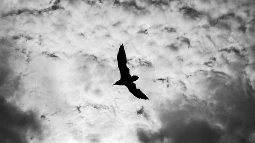 Low angle view of helicopter flying against sky