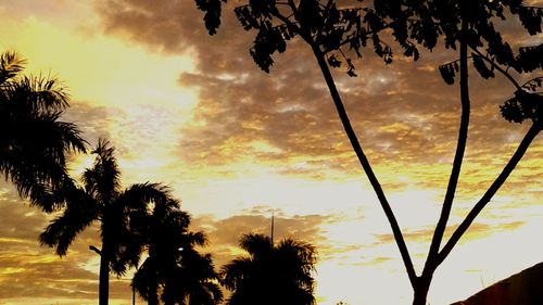 Low angle view of silhouette trees against sky during sunset