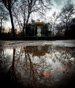 Reflection of bare trees in water at park