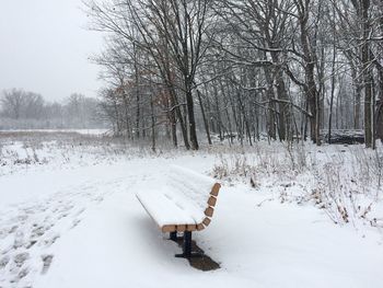 Snow covered land and trees on field during winter
