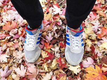 Low section of person standing on autumn leaves