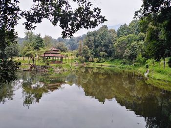 Reflection of trees in lake