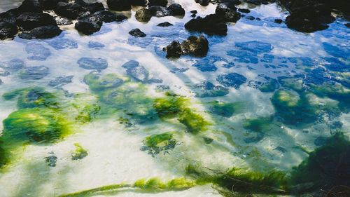 High angle view of rocks in sea