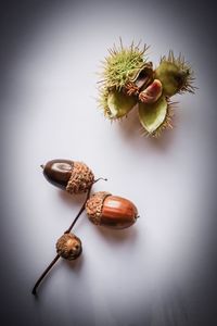High angle view of vegetables on table