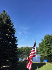 Flag on trees against blue sky