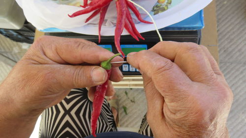 Low section of person stringing red chili peppers