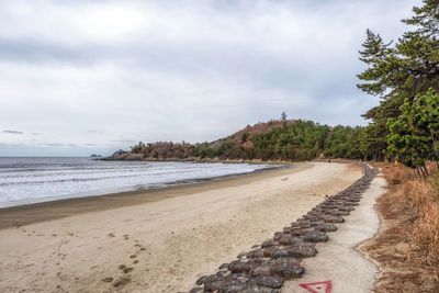 Sinan baekgil beach during winter view. famous beach located in jaeundo island in sinan, south korea