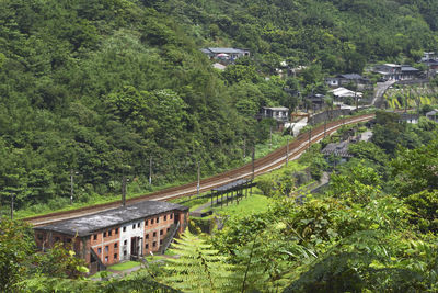 High angle view of houses amidst trees and plants in forest