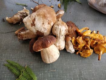 High angle view of vegetables on table