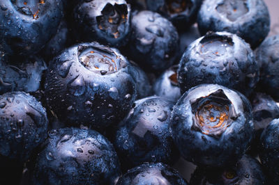 Blueberry berry background. macro. fresh blueberry background. water drops on ripe blueberries