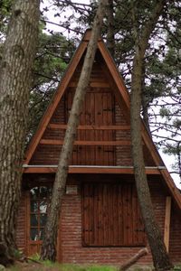 Low angle view of wooden house amidst trees in forest