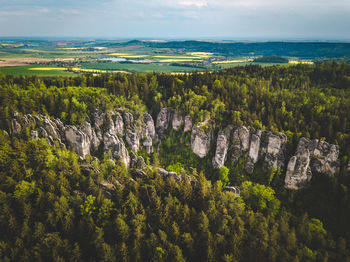 Scenic view of trees against sky