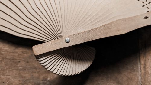 High angle view of leaf on table