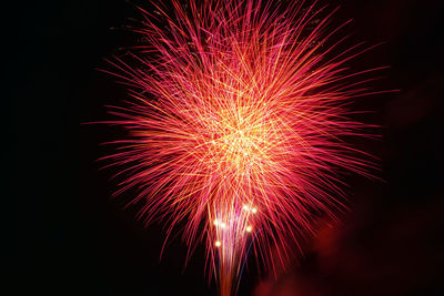 Low angle view of firework display at night