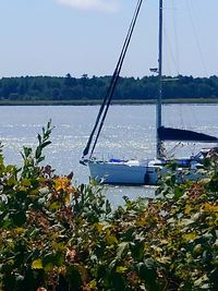 Sailboats moored in sea against sky