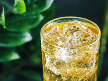 Close-up of alcohol in drinking glass