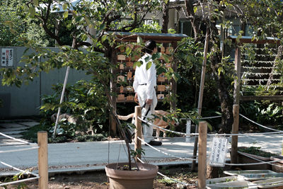 View of plants and trees