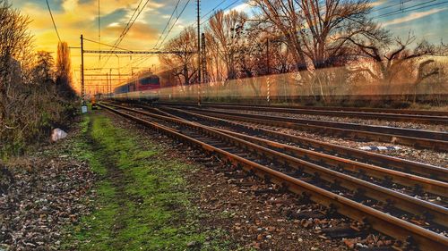 Railroad track along trees