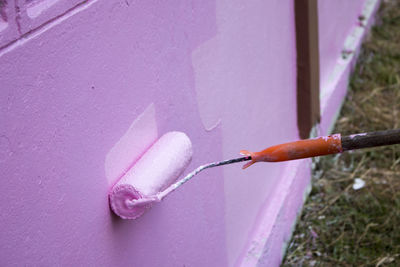 High angle view of roller painting pink paint on wall