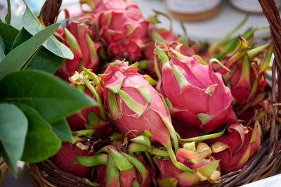 Beautiful fresh exotic dragon fruit with green petals in a basket