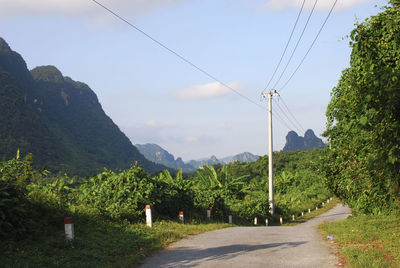 Road amidst trees against sky