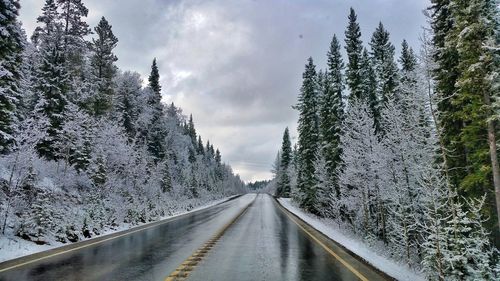 Road amidst trees against sky during winter