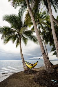 Man relaxing in hammock under palm trees in costa rica