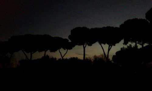 Silhouette of trees against sky at sunset