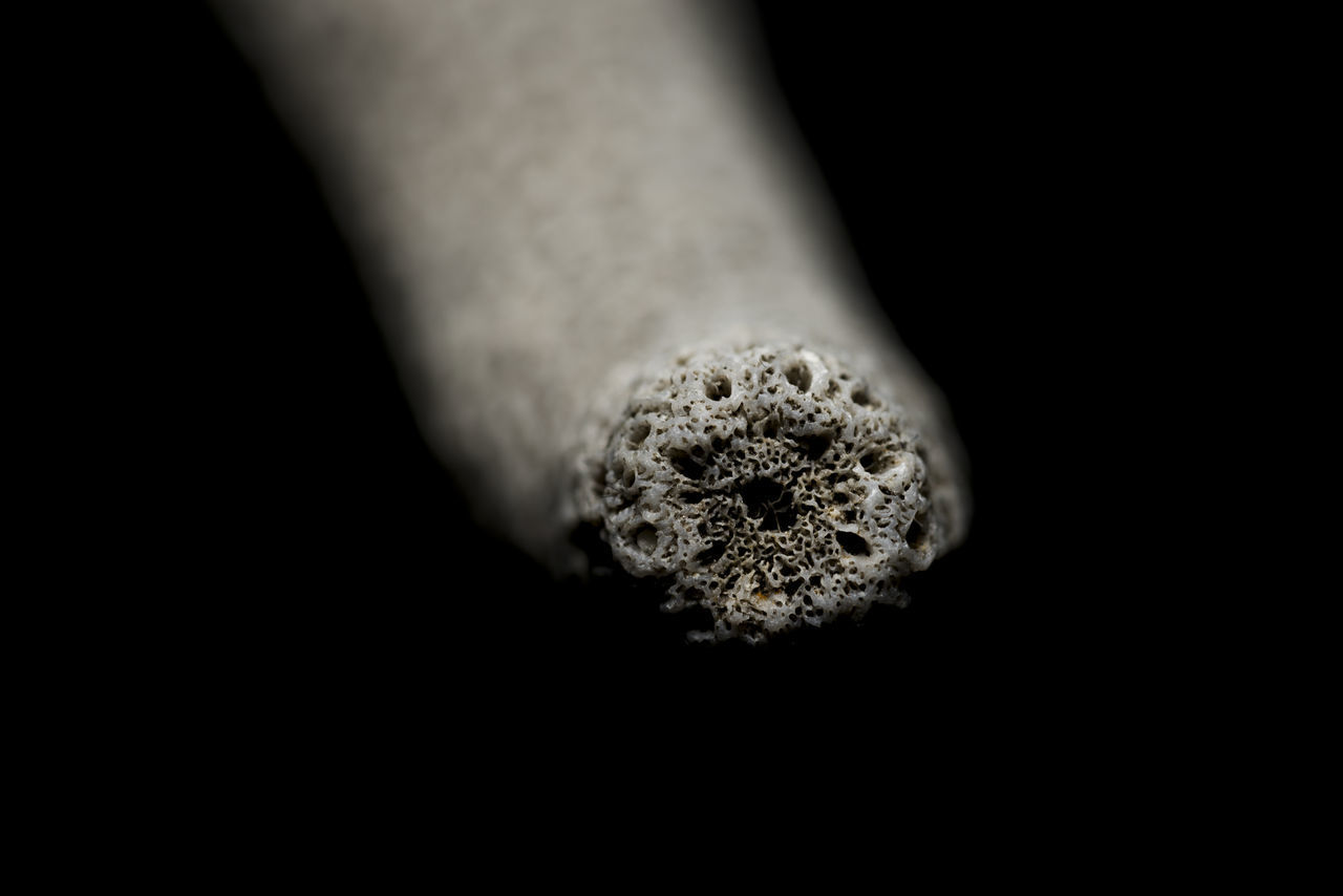 CLOSE-UP OF HAND HOLDING CIGARETTE