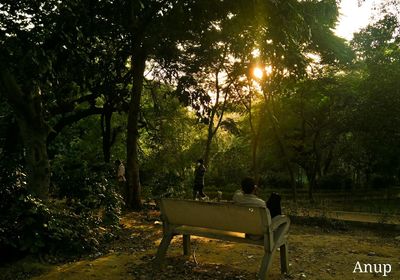 People sitting on table by trees