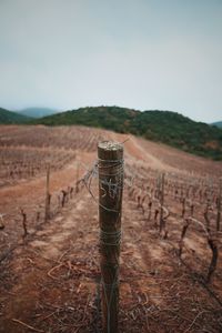 Wooden posts on field by fence against sky