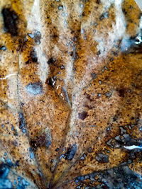 Full frame shot of rock