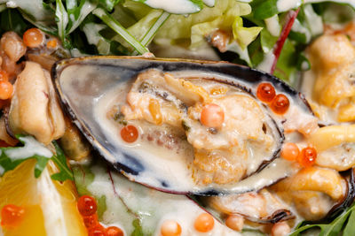 High angle view of fish in plate