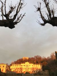 Low angle view of bare tree against sky