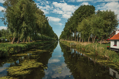 Trees and houses along canal with sky reflected on water in damme. a country village in belgium.