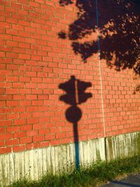 Shadow of tree on brick wall