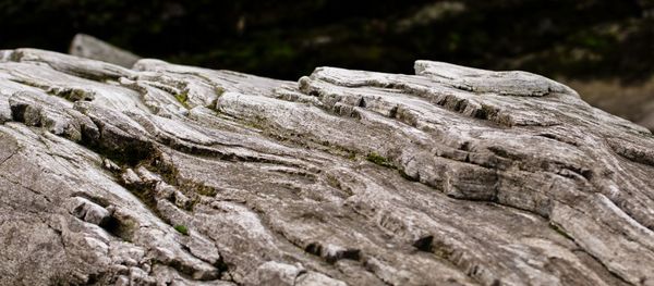 Close-up of rock