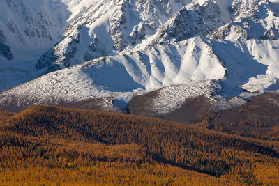 Scenic view of snow covered field