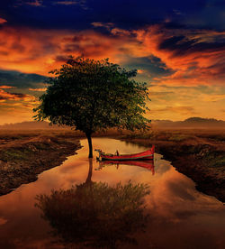 Tree by lake against sky during sunset