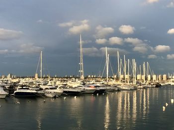 Sailboats in marina